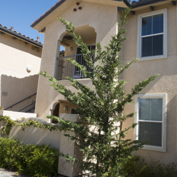 Seabreeze_Apts_0016-819x1024-1